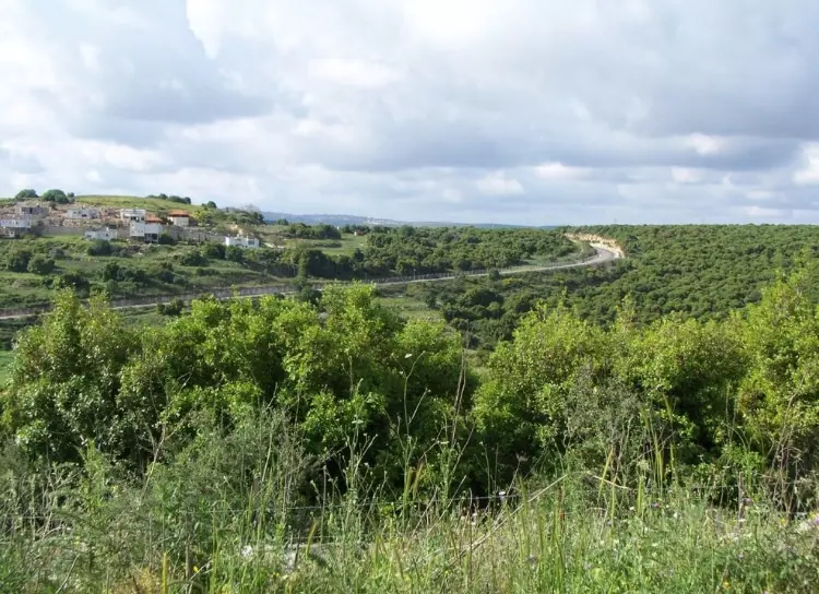 Landscape of Dayr al-Qasi